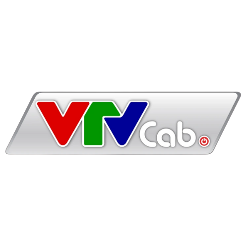 VTV Cab
