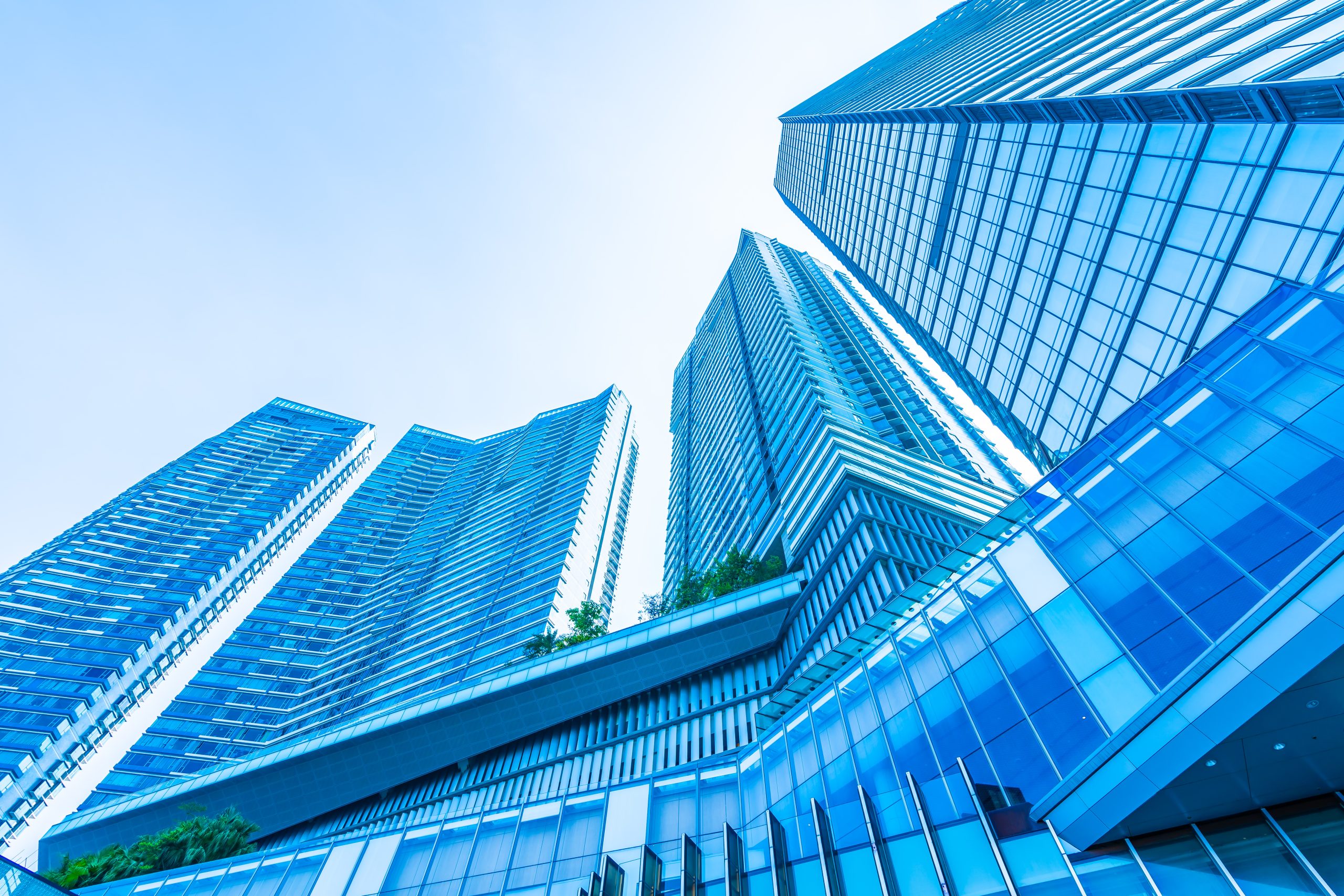 Doanh nghiệp lớn